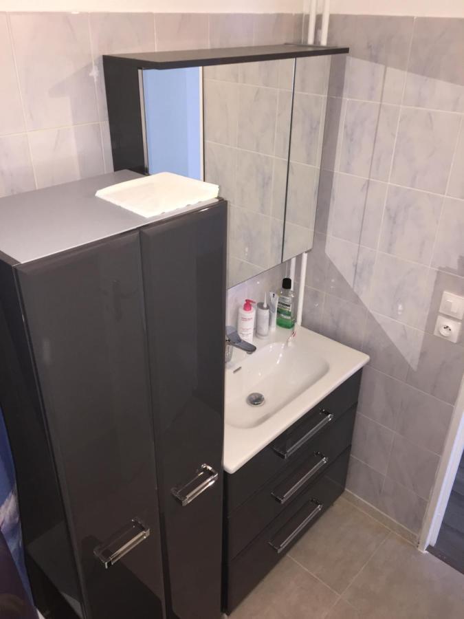 Grand Appartement A Louer Vue Sur Seine Melun Exterior photo